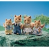 Набор Семья лисичек, Sylvanian Families